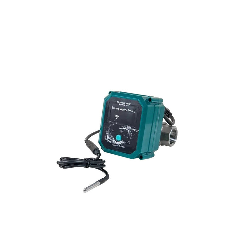 FrankEver Smart water valve DN25