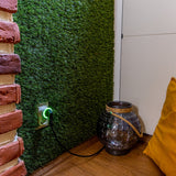 Priza inteligenta Shelly Plug S GEN3, WiFi, Matter, Bluetooth cu monitorizare consum, Neagra