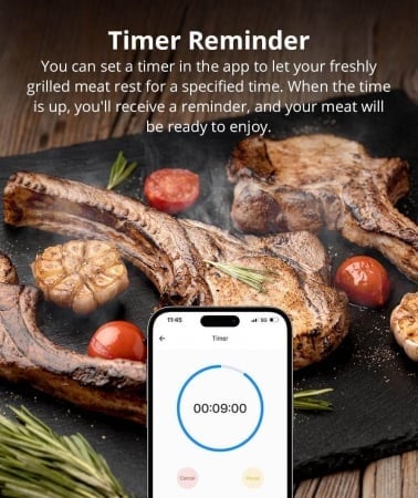 Termometru Inteligent pentru Carne Sonoff BMT01