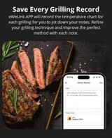 Termometru Inteligent pentru Carne Sonoff BMT01